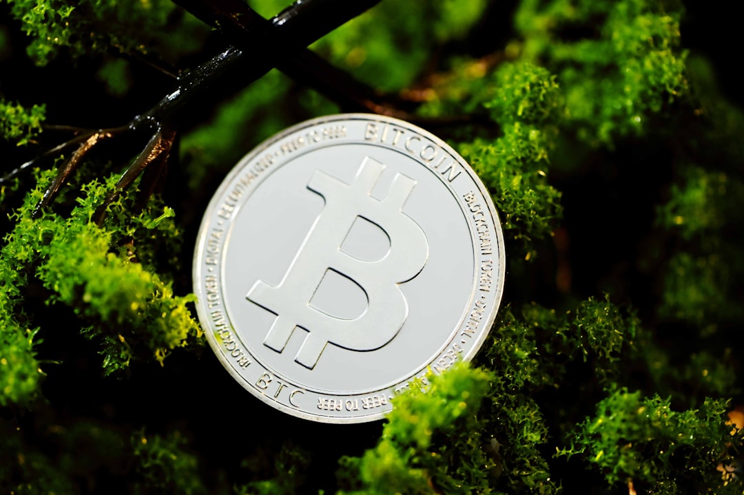 Wasabi Wallet 2.0: Безопасный Поток для Приватности